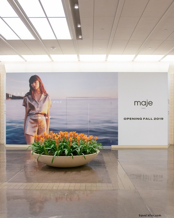 Fall 2023 at NorthPark: 7 Must‑Visit Stores & Experiences