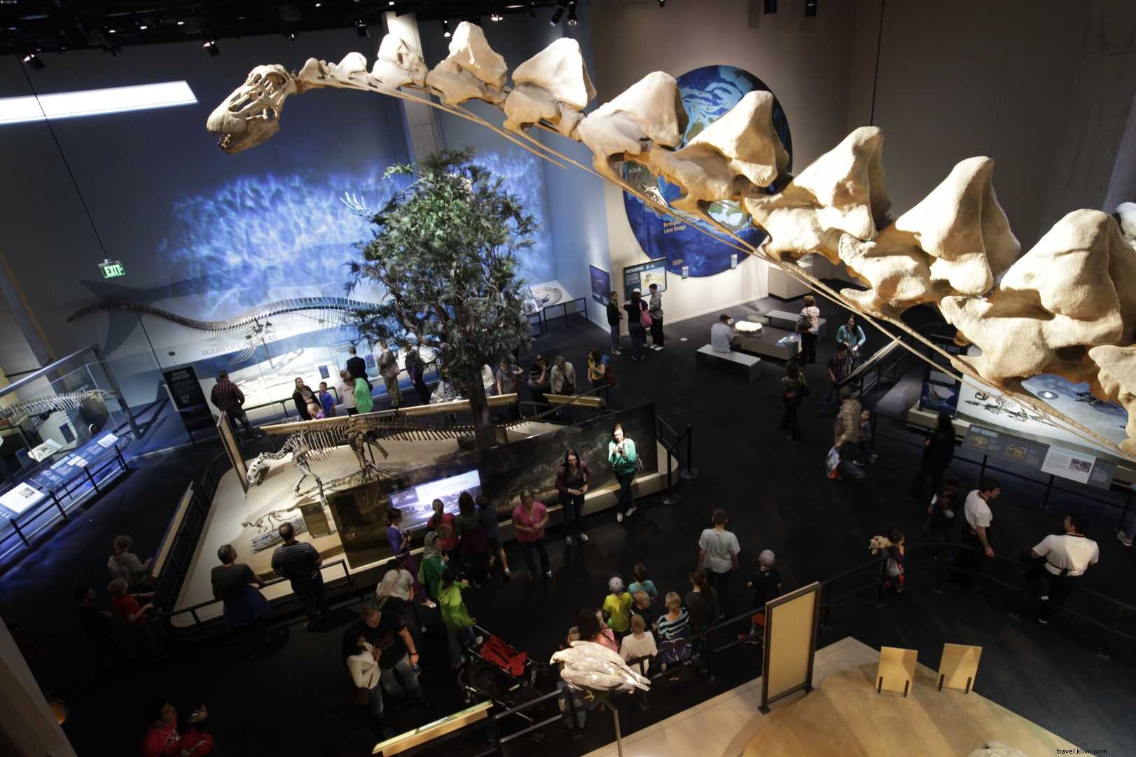 Why Children Thrive at Dallas’s Perot Museum: 5 Must‑Visit Highlights