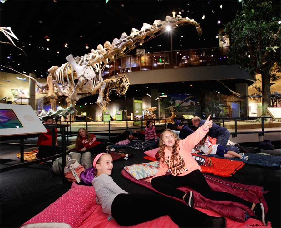 Your Ultimate Dallas Spring Break Guide: Museums, Camps & Outdoor Adventures