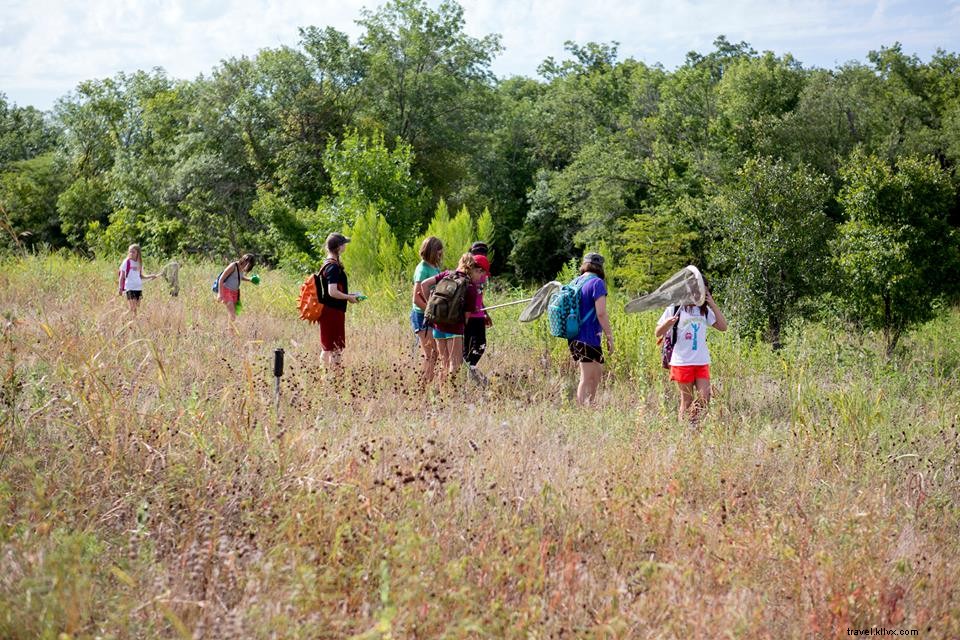 Your Ultimate Dallas Spring Break Guide: Museums, Camps & Outdoor Adventures