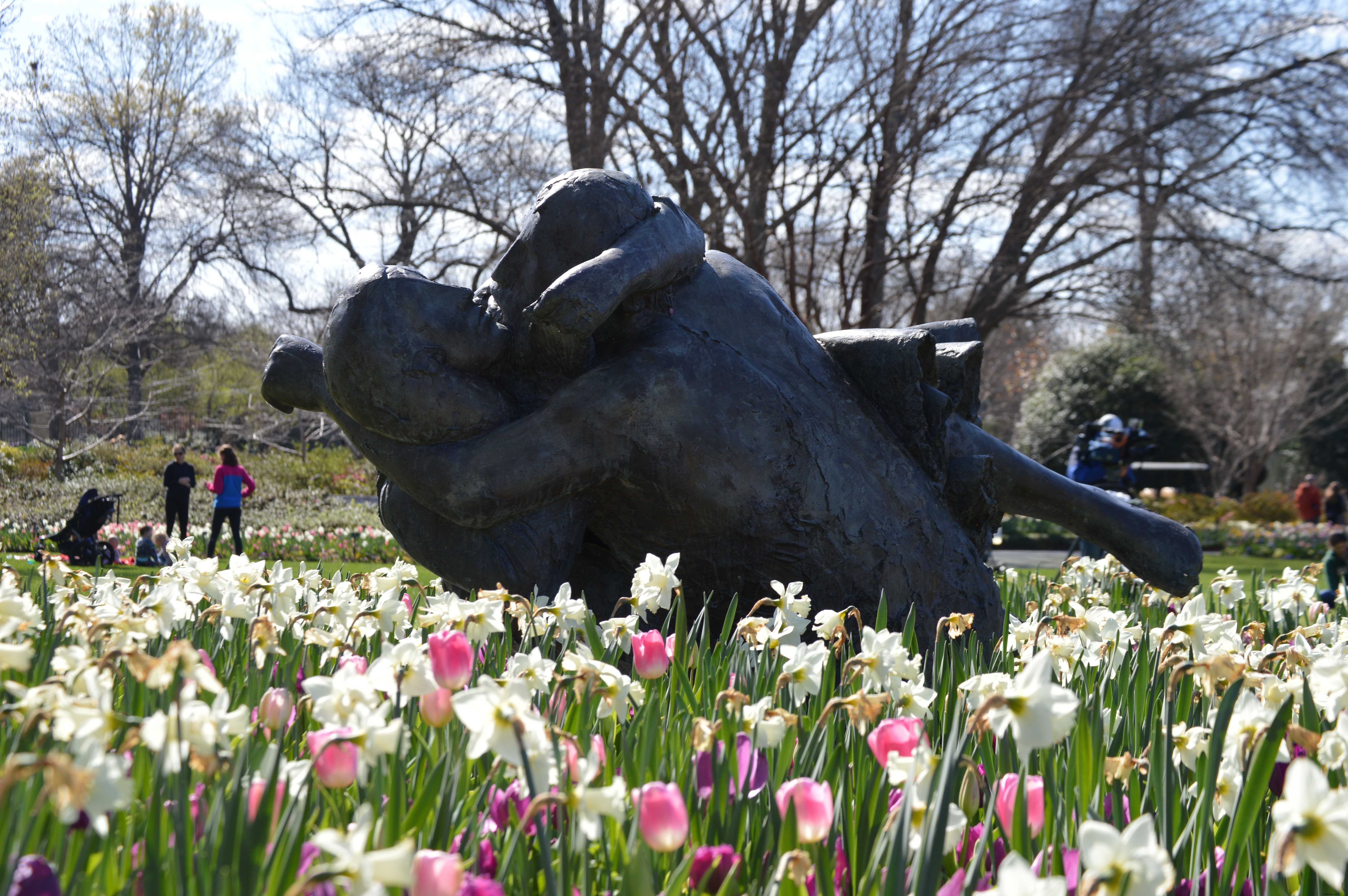 Dallas Blooms: Celebrate Spring with 1960s Flower Power
