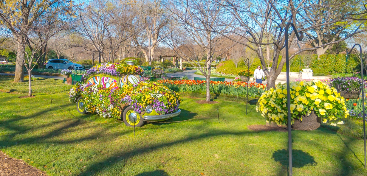 Dallas Blooms: Celebrate Spring with 1960s Flower Power