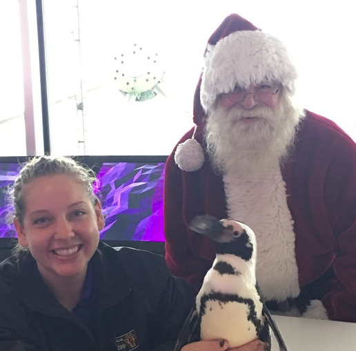 Holiday Highlights at Reunion Tower’s GeO‑Deck