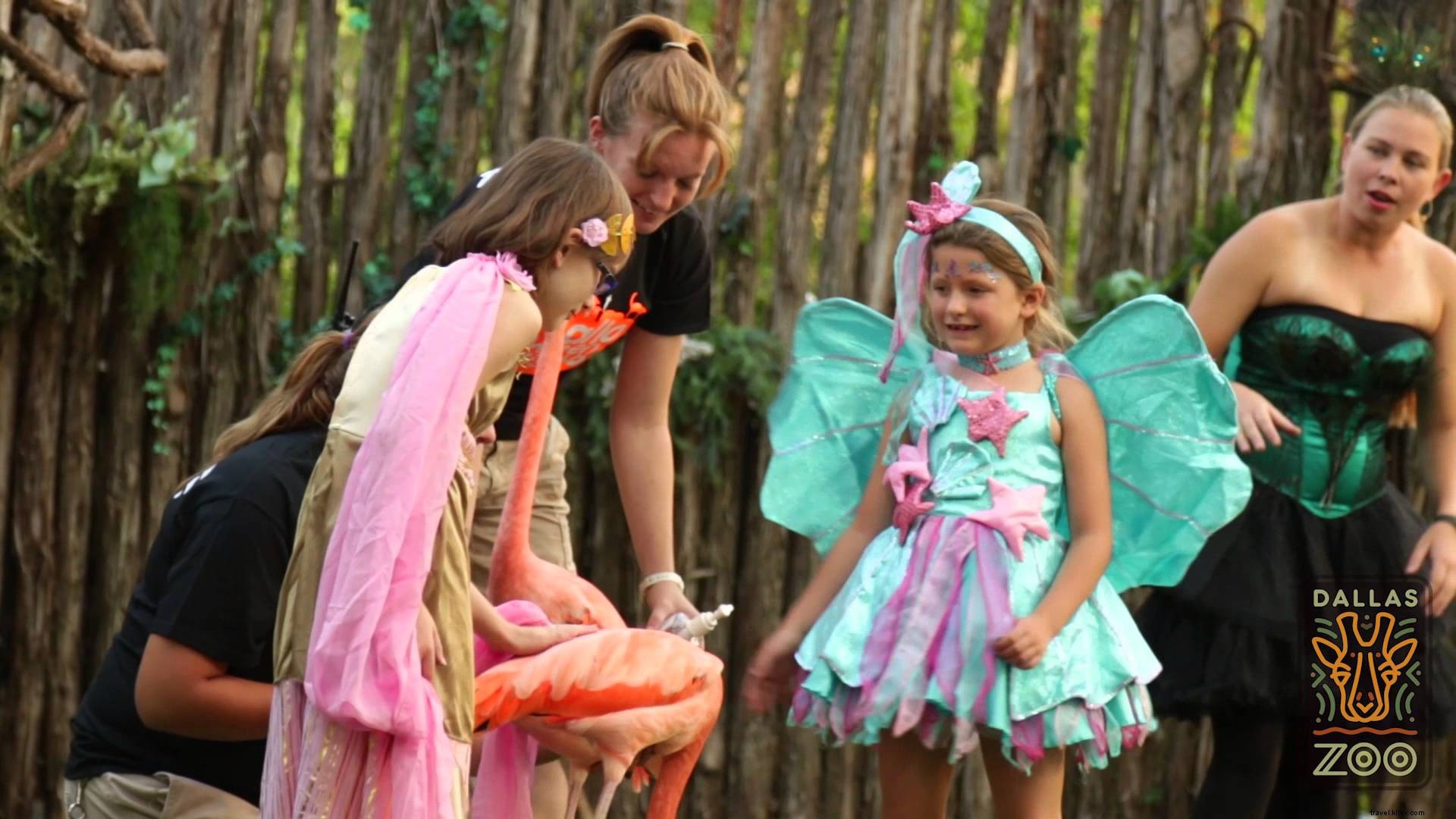 Your Ultimate Dallas Halloween Guide: Haunted Houses, Zoo Nights & More