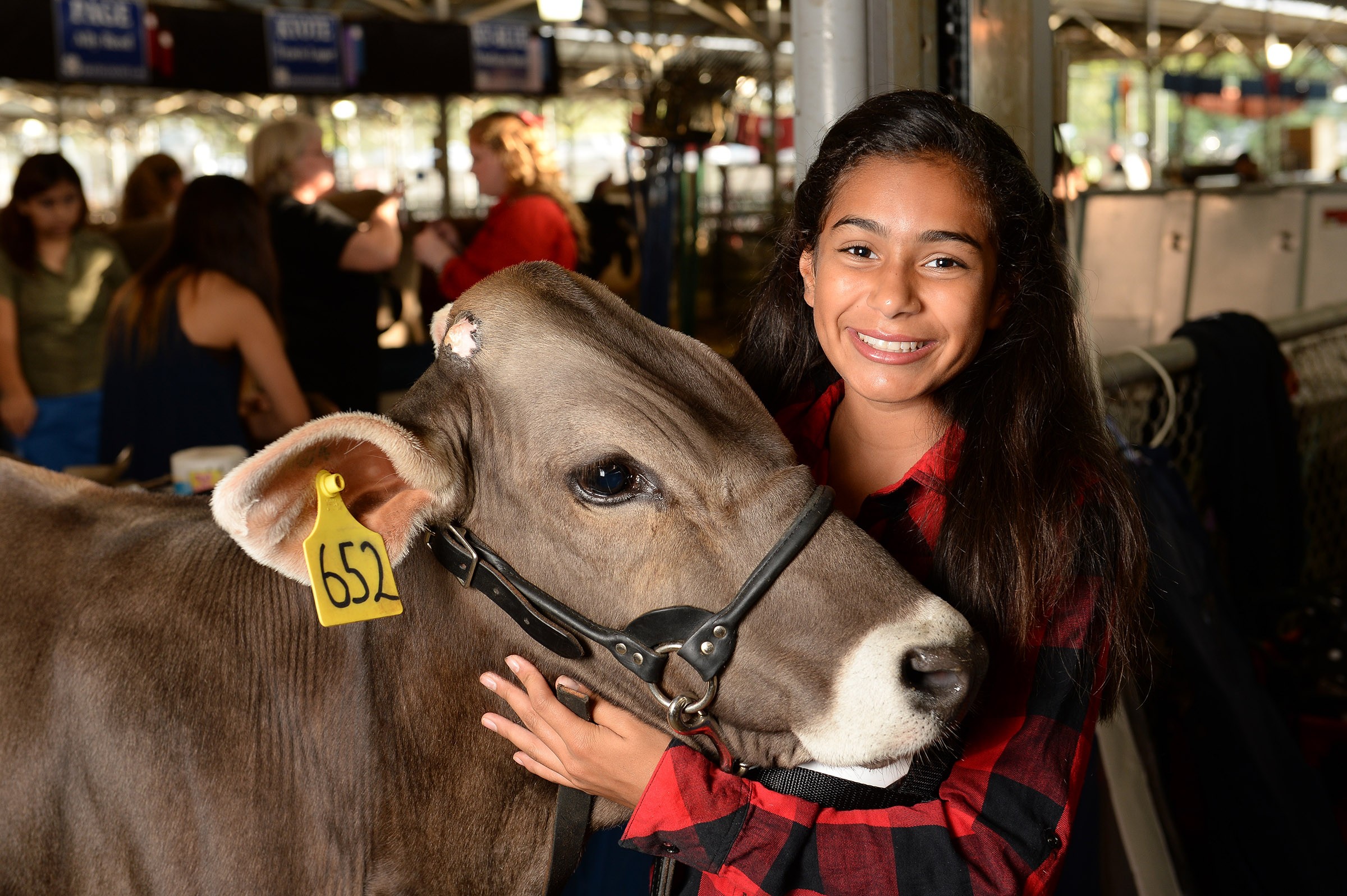 6 Must‑Know Highlights at This Year’s Texas State Fair