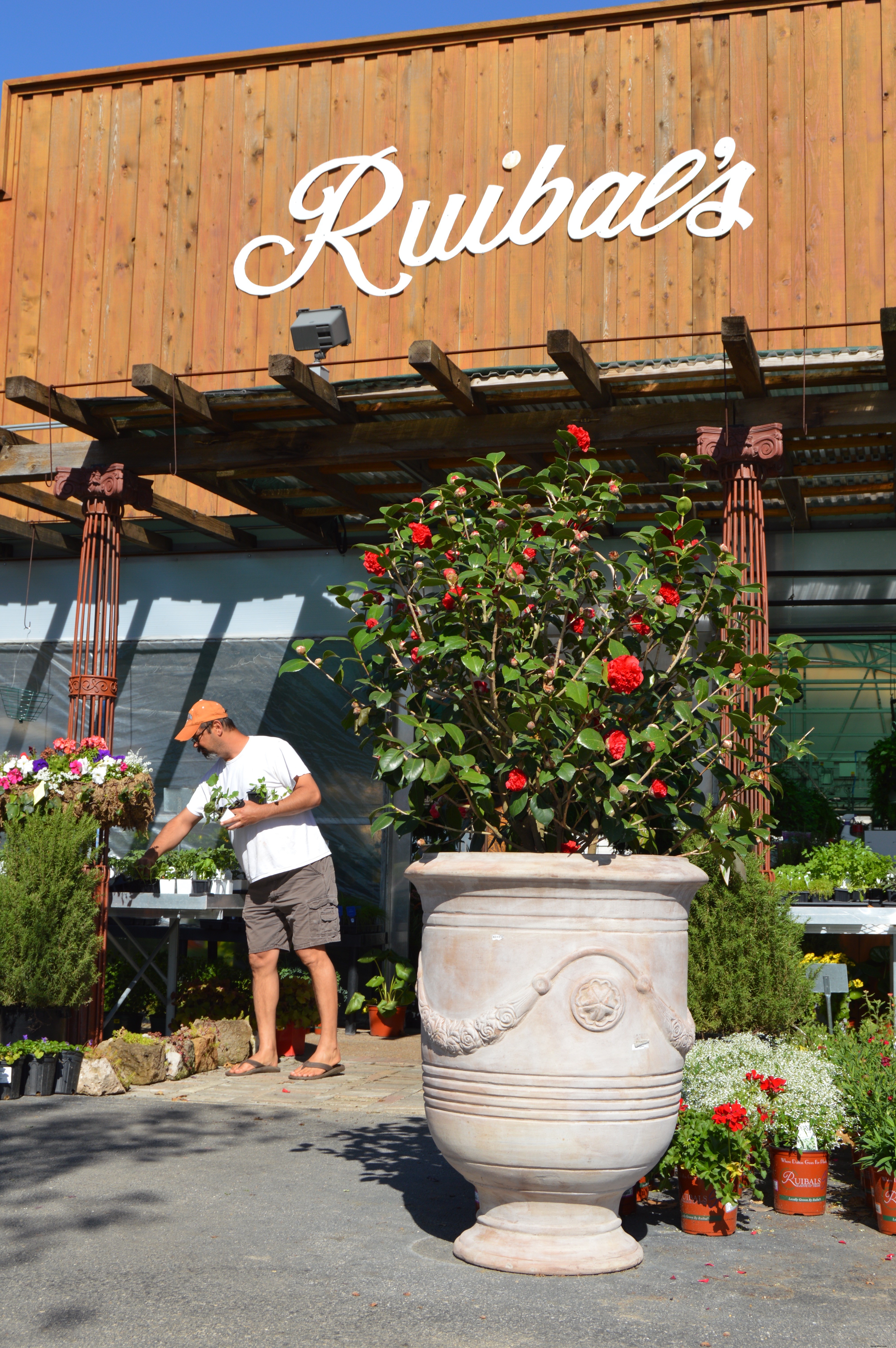 Dallas Farmers Market: A Premier Destination for Food & Fresh Finds