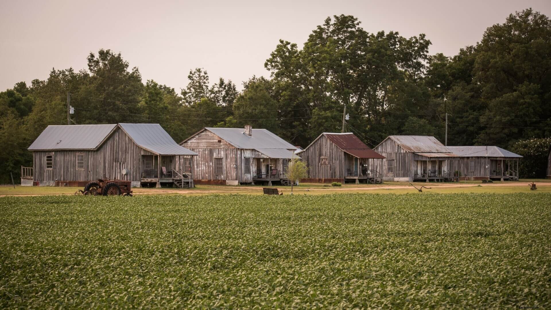 Discover Greenwood: Award‑Winning Restaurants, Historic Howard Avenue, and Blues Heritage