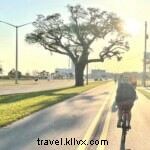 Explore the Mississippi Gulf Coast on Two Wheels: A Guide to Scenic Bicycle Trails