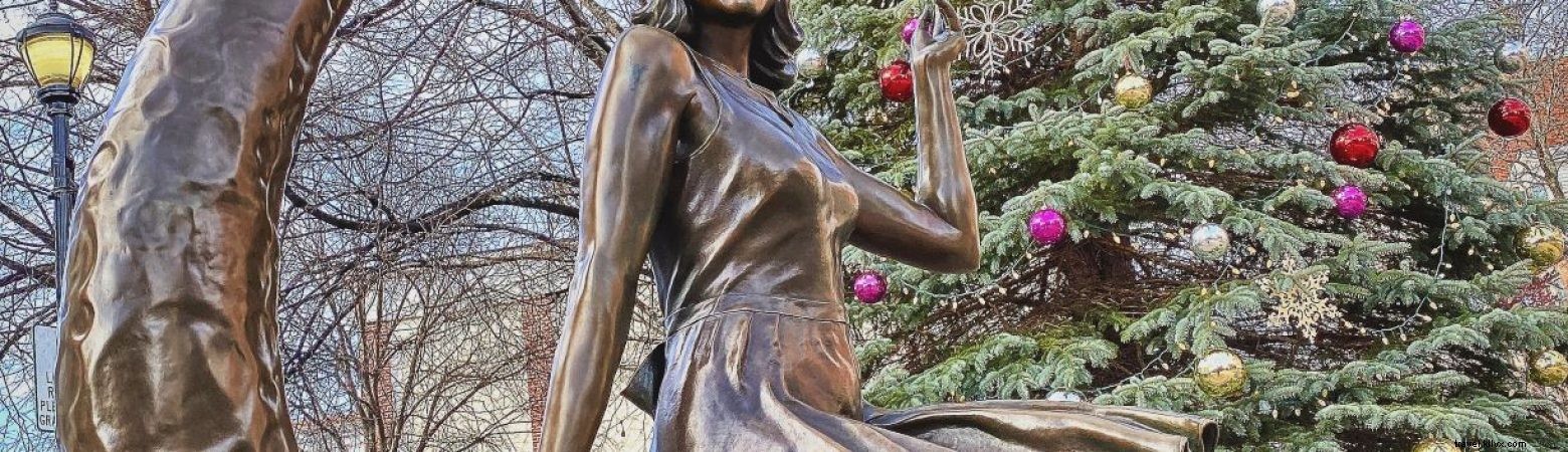 Salem’s 2020 Holiday Tree Unveiled at Lappin Park