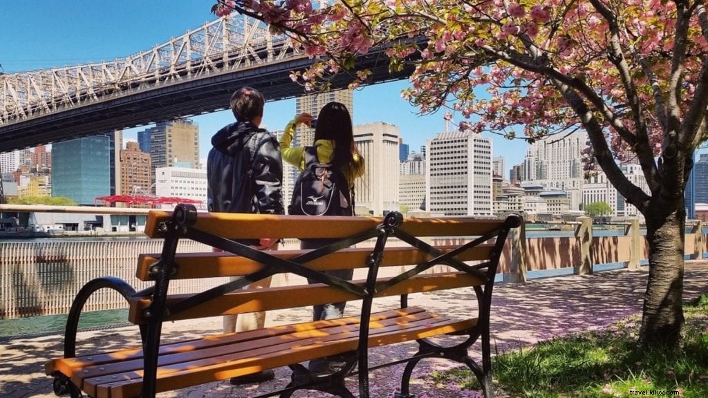 Top 20 Family-Friendly Destinations Across the U.S. – Your Ultimate Travel Guide