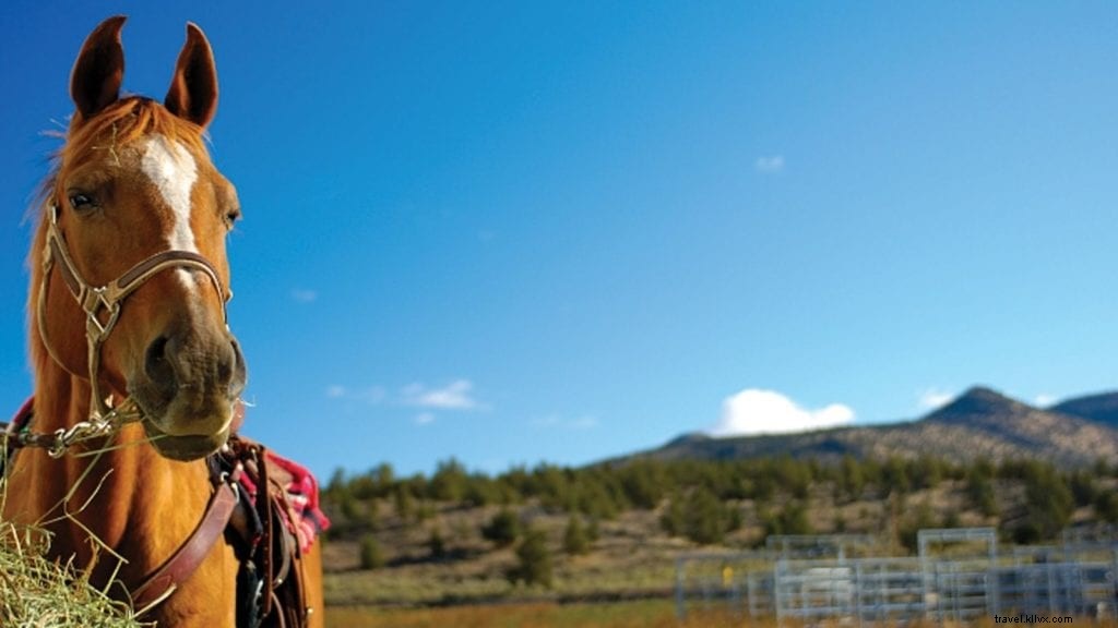 Top 6 Family‑Friendly Resorts for Multigenerational Getaways