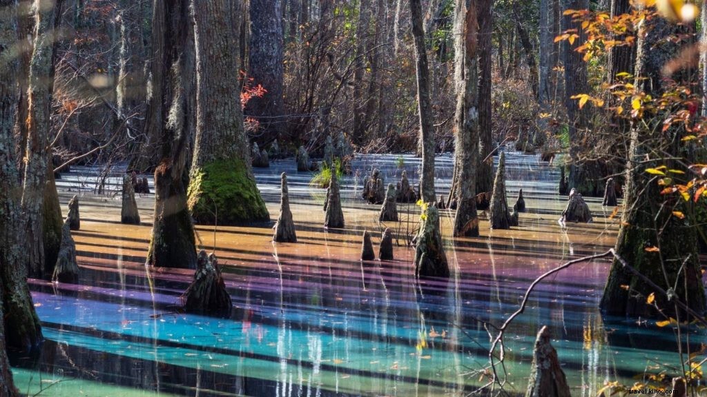 6 Family‑Friendly Beach Towns Perfect for Autumn Getaways