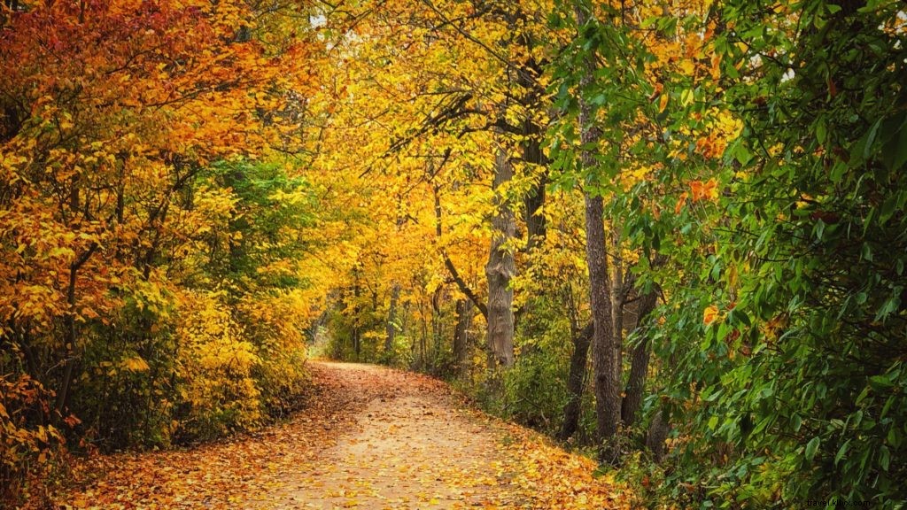 6 Family‑Friendly Fall Foliage Destinations Across the Midwest