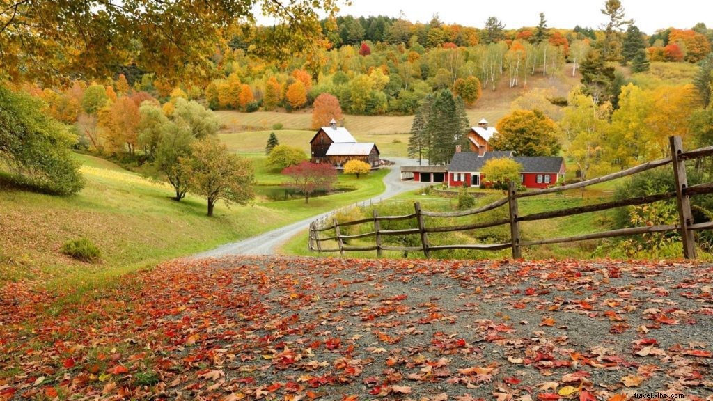 8 Family‑Friendly New England Fall Getaways That Captivate All Ages