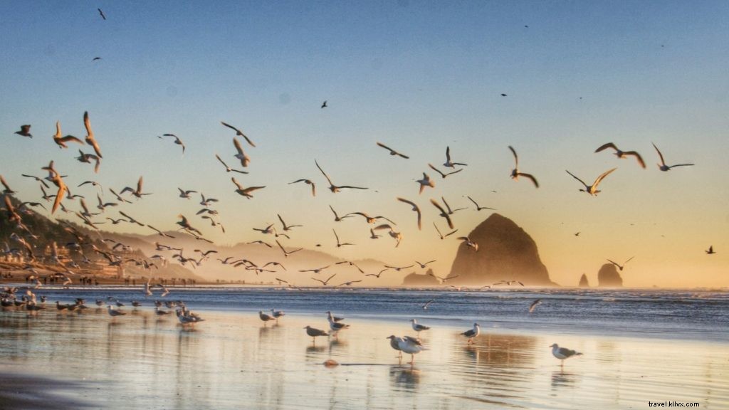 11 Must‑Visit Family Beach Destinations Across the U.S.