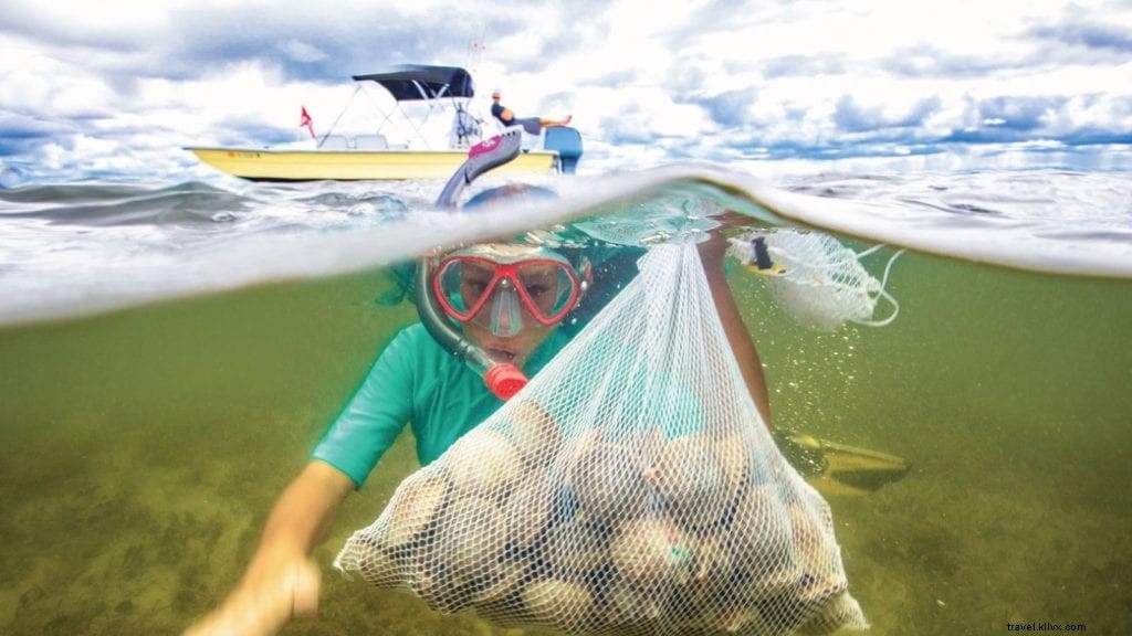 Beyond Disney: 7 Must‑Visit Florida Attractions for Families