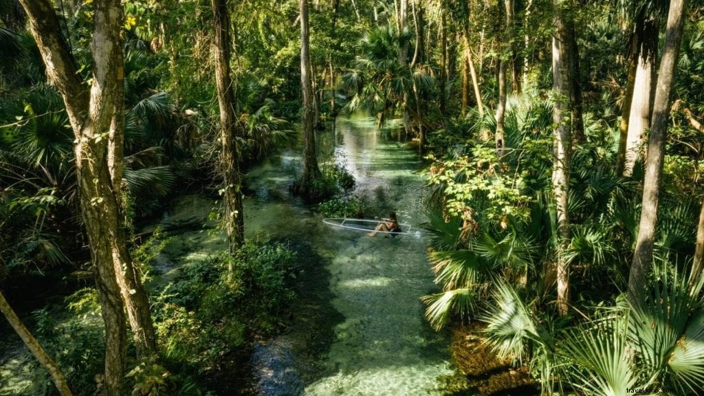 Beyond Disney: 7 Must‑Visit Florida Attractions for Families