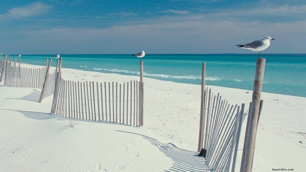 Beyond Disney: 7 Must‑Visit Florida Attractions for Families