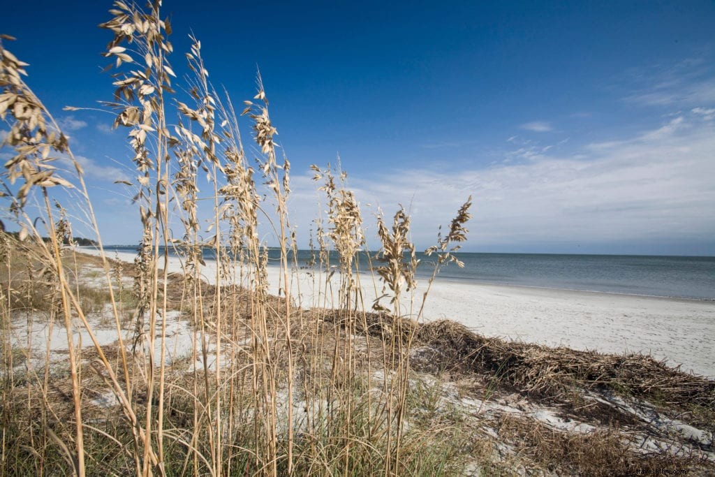 Your Ultimate Lowcountry Vacation Guide: Beaches, History, and Hidden Gems