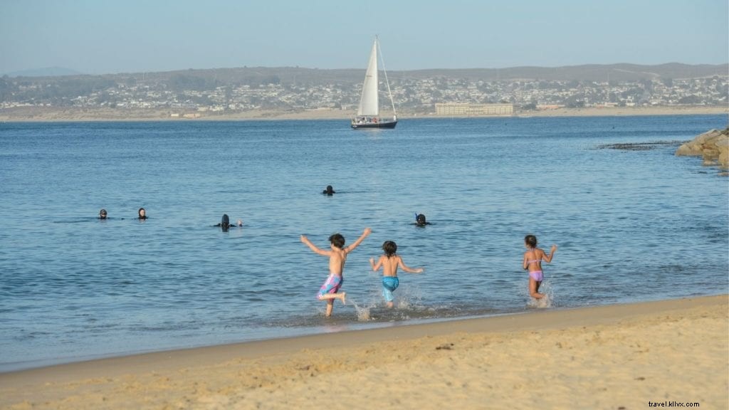 Monterey Beaches: The Complete Expert Guide to California’s Coastal Gems