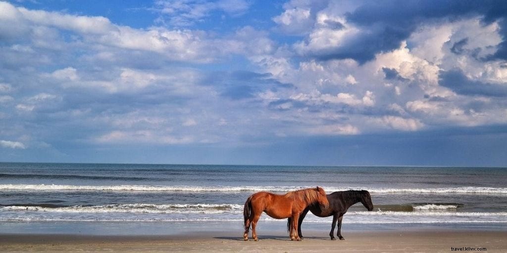 Top Family-Friendly Beaches in North Carolina: A Sun‑and‑Sand Guide