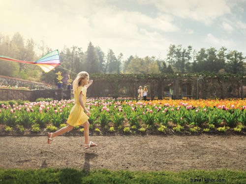 Explore Asheville’s Premier Gardens: From Historic Estates to Hidden Oasis