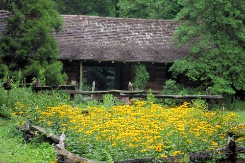 Explore Asheville’s Premier Gardens: From Historic Estates to Hidden Oasis