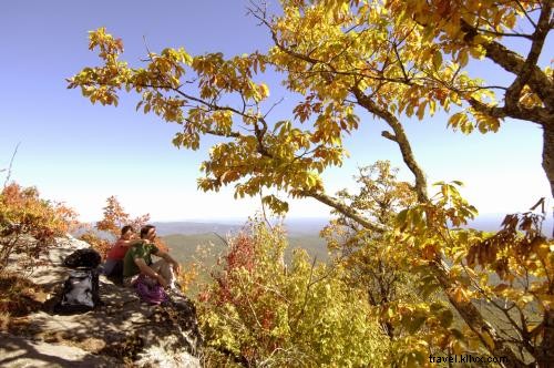 Explore Asheville’s Stunning Fall Colors from Above