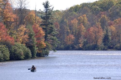 Explore Guided Fly Fishing Adventures in Asheville