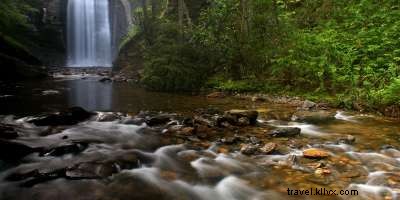 Top 6 Drive‑By Waterfalls in Asheville’s Blue Ridge Mountains