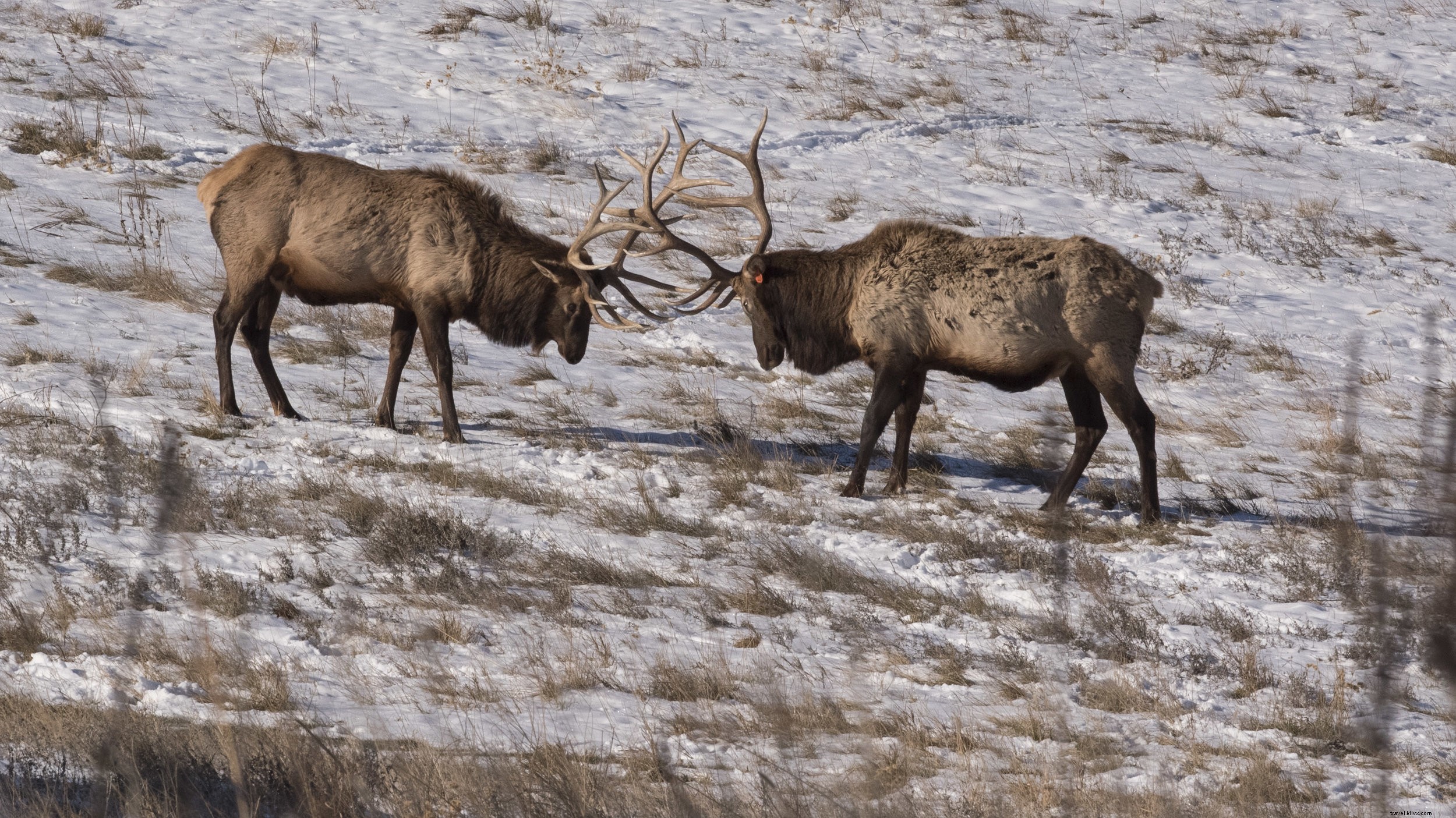 5 Serene Cabins to Escape Winter’s Chill in Nebraska