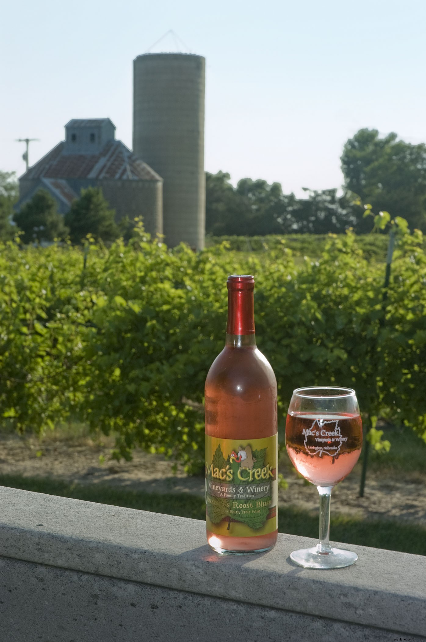 7 Premier Shopping Destinations for Beer and Wine Enthusiasts