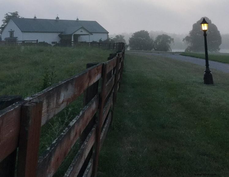 Queenslake Farm B&B – Premium Sporthorse Boarding & Lakeside Retreat