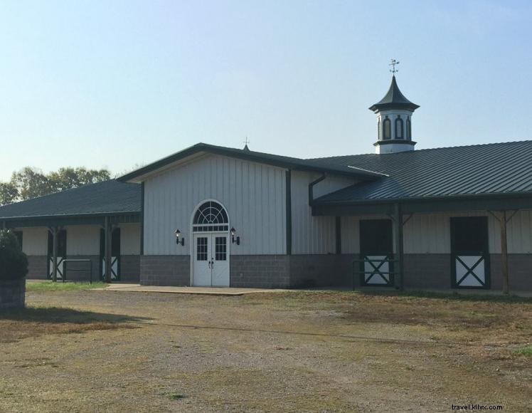 Queenslake Farm B&B – Premium Sporthorse Boarding & Lakeside Retreat