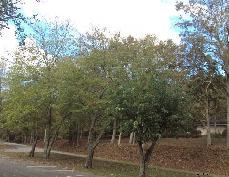 Red Roof Inn Danville – Comfortable, Affordable Rooms in Quiet Location