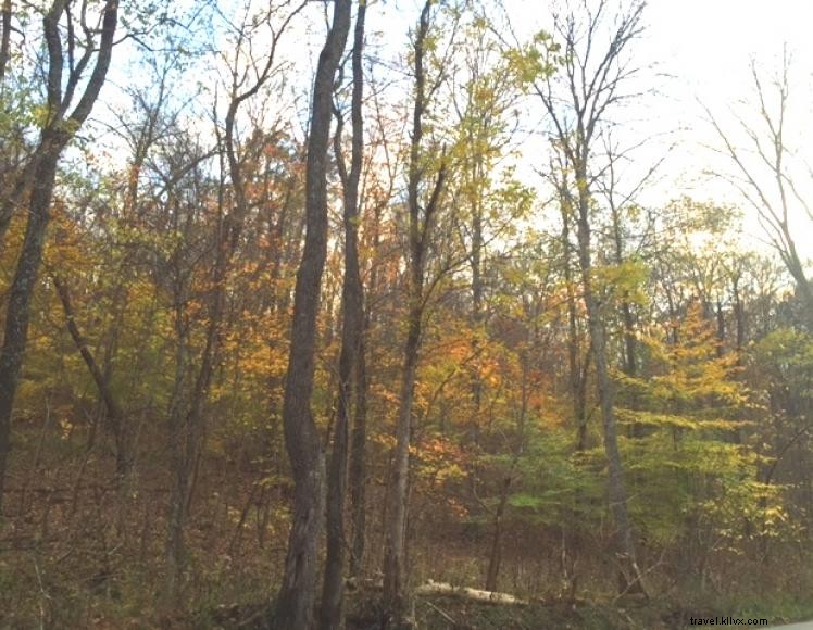 Red Roof Inn – Convenient Comfort Near Morehead State University