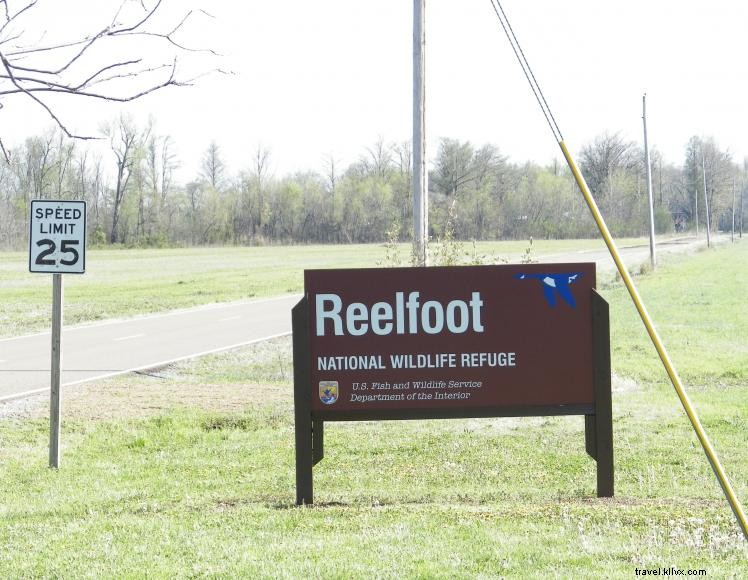 Explore Reelfoot Lake Public Wildlife Area: A Year‑Round Wildlife Sanctuary in Hickman, KY