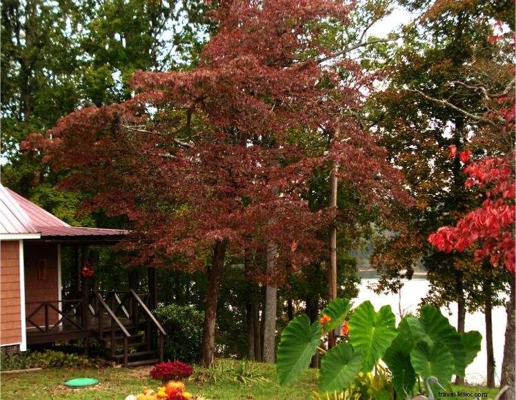 Reinecke s Lake Cottage – Lakeside Retreat Near Mammoth Cave National Park