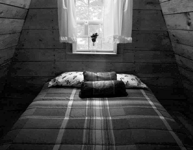 Red River Outdoors: Premium Cabins, Guided Adventures & Exclusive Discounts