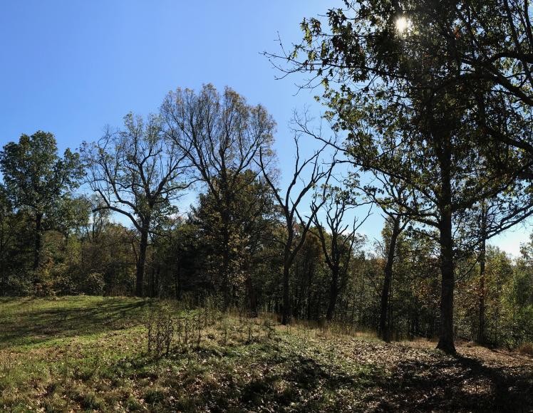 Royalty’s Fishing Camp & Marina: Premier Lakeside Destination in Harrodsburg, KY