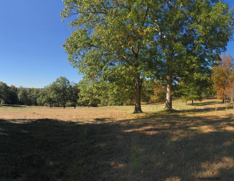 Royalty’s Fishing Camp & Marina: Premier Lakeside Destination in Harrodsburg, KY