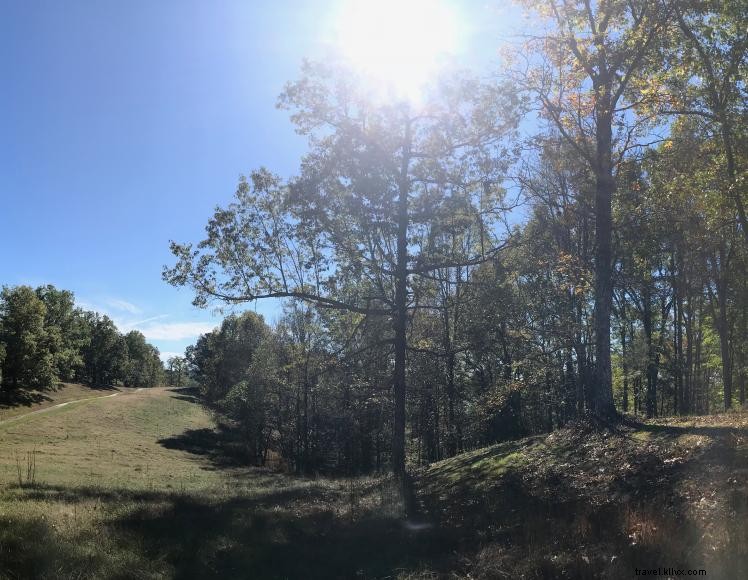 Royalty’s Fishing Camp & Marina: Premier Lakeside Destination in Harrodsburg, KY