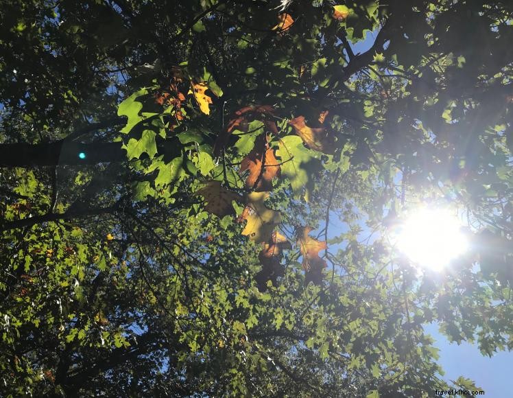 Royalty’s Fishing Camp & Marina: Premier Lakeside Destination in Harrodsburg, KY