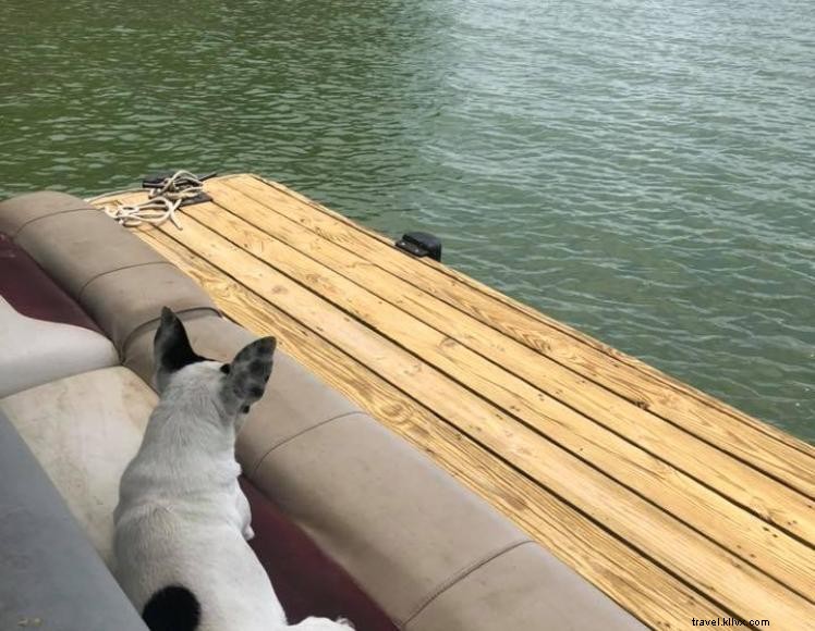 Sunset Harbor Hill Marina & Campground – Lakeside Retreat in Murray, KY