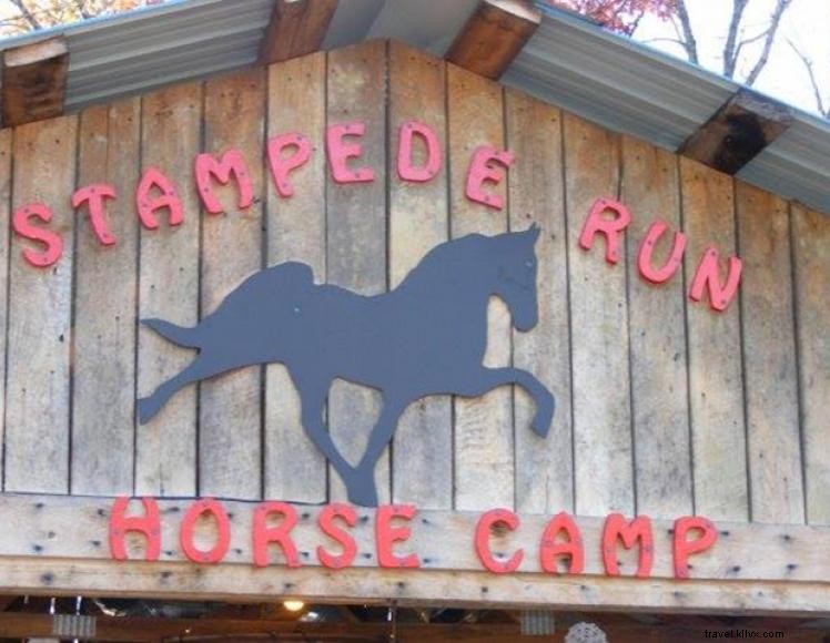 Stampede Run Horse Camp – Premium Equine Camping in Whitley City, KY