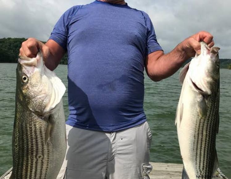 Strehl Lakeside Retreat – 4‑Bedroom Lake Cumberland Vacation Home with Deck, Fire Pit & Marina Access