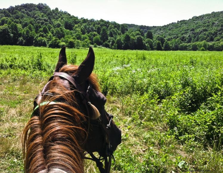 Triple R Ranch Outfitters – Premier Horseback Adventure & Outdoor Experience in Kentucky