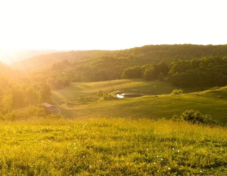 Triple R Ranch Outfitters – Premier Horseback Adventure & Outdoor Experience in Kentucky