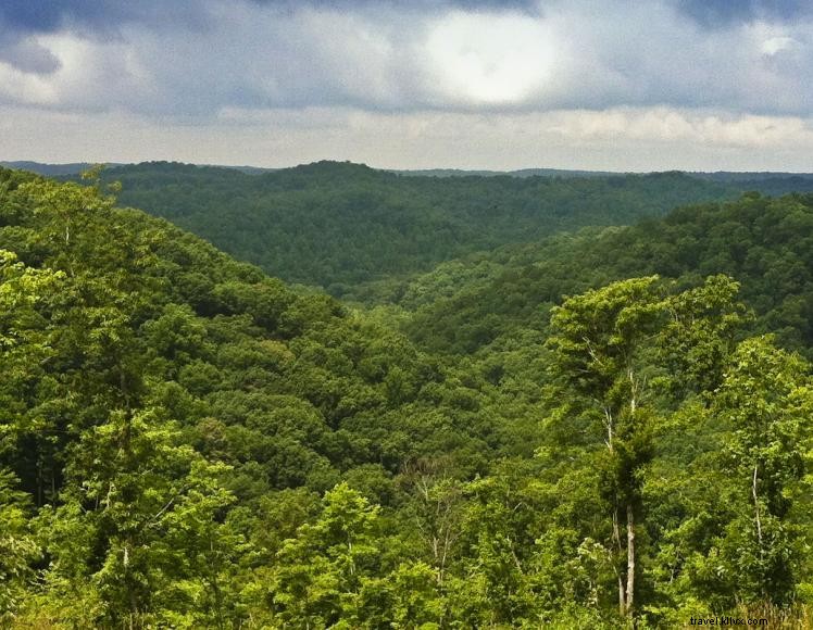 Triple R Ranch Outfitters – Premier Horseback Adventure & Outdoor Experience in Kentucky