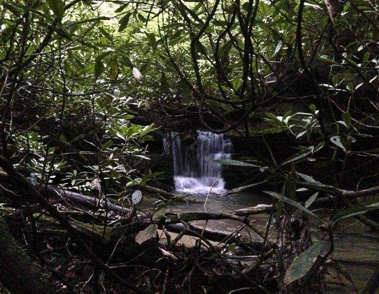 Triple R Ranch Outfitters – Premier Horseback Adventure & Outdoor Experience in Kentucky